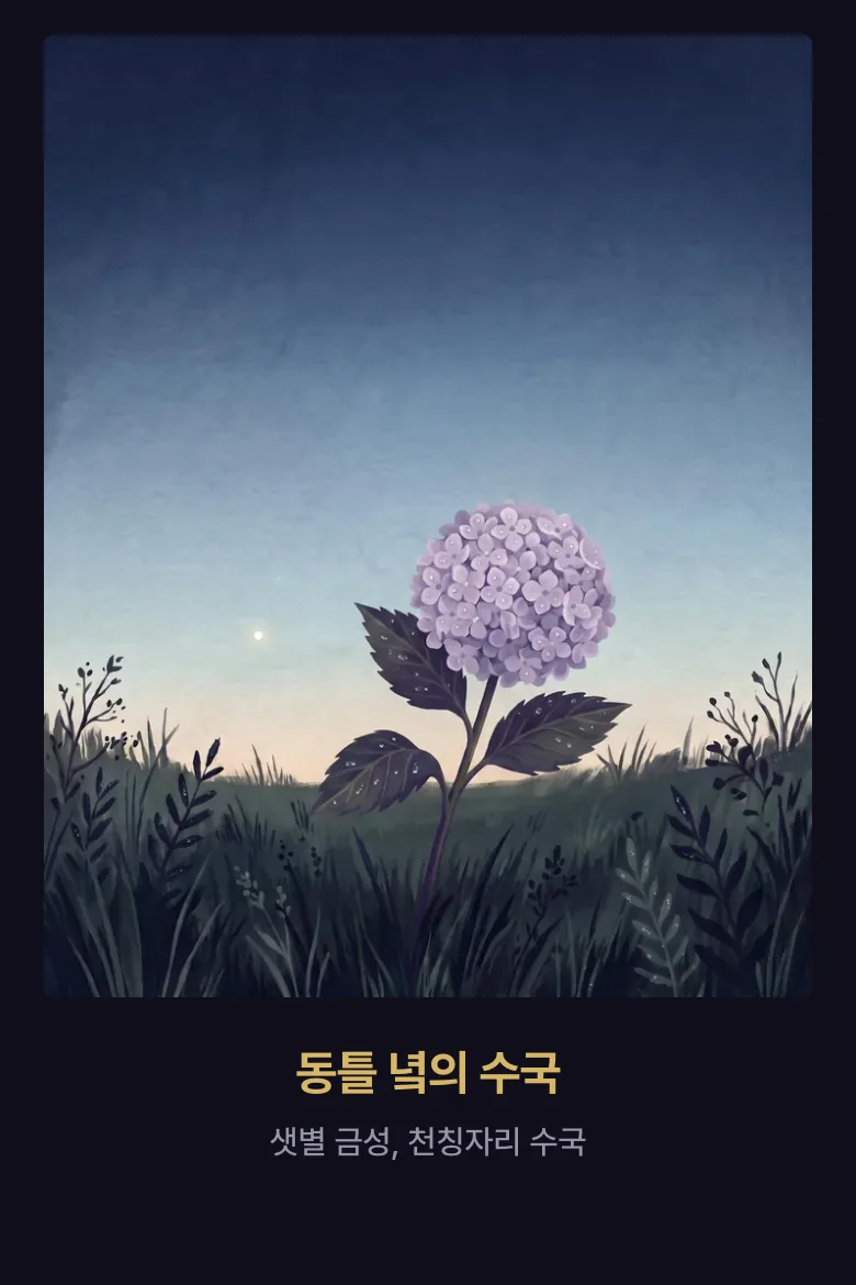 서양 점성술로 본 「내 기운」 판 견본 화면