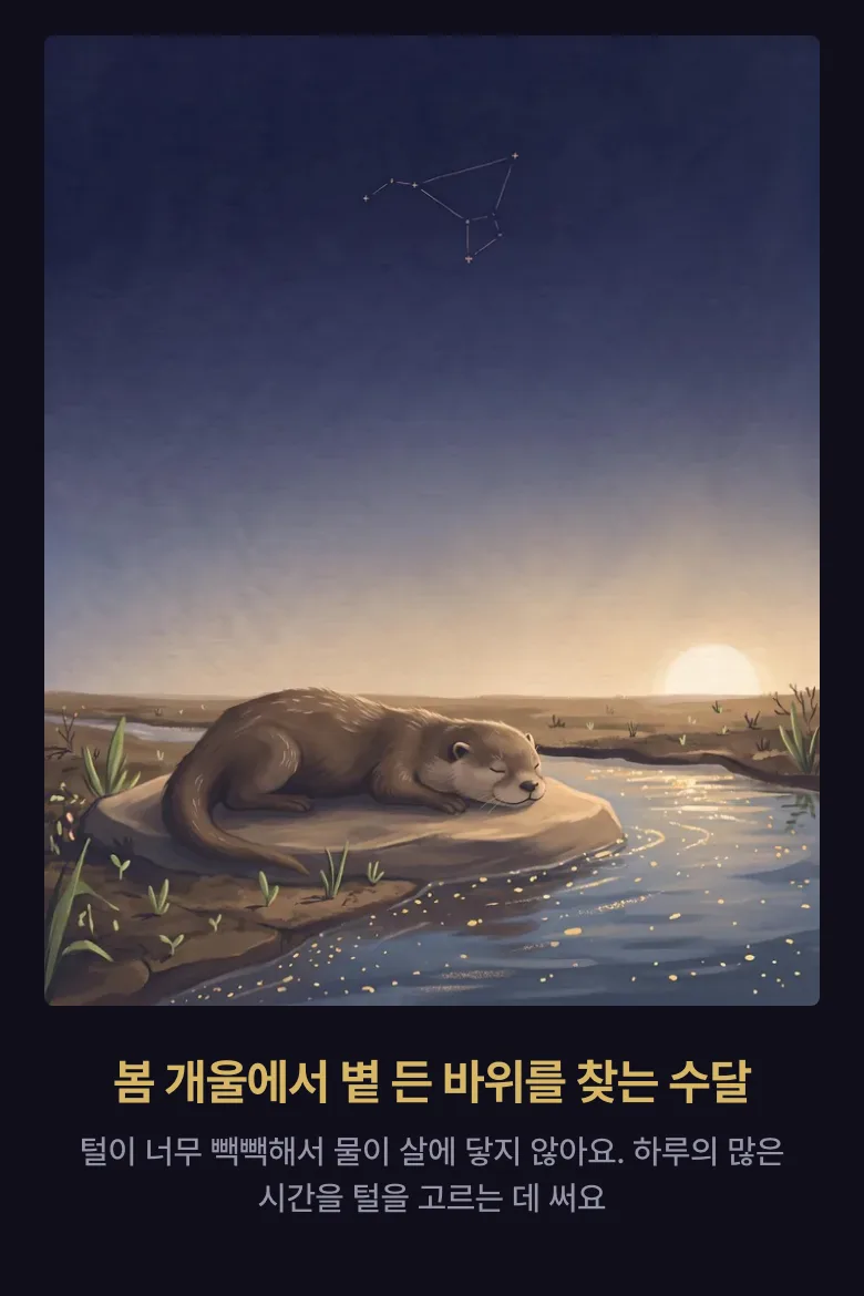 사주팔자로 본 「내 기운」 판 견본 화면
